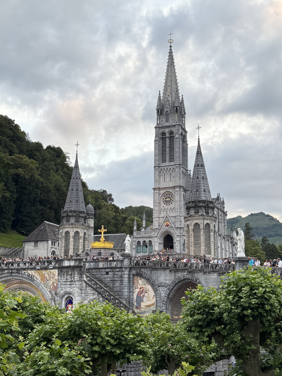 Terug uit Lourdes 